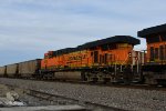 BNSF 6006 Roster shot